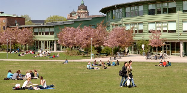 Stockholms universitet. Foto: Fotografnamn Amanda Jackalin/ Stockholms universitet
