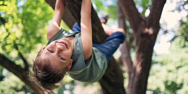 Ett barn som klatrer i et tre. Foto