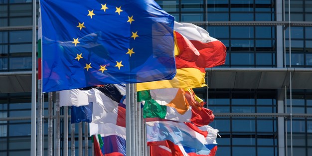 EU samt EU-landenes flagg. Foto
