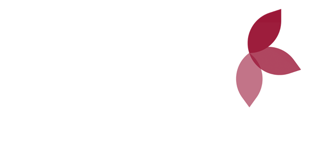 Grafik som visualiserar Tillgänglighetsabonnemang liten .Tre av fem blad från funkas logotyp visas.
