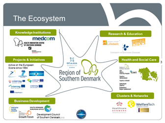 The ecosystem. Illustration