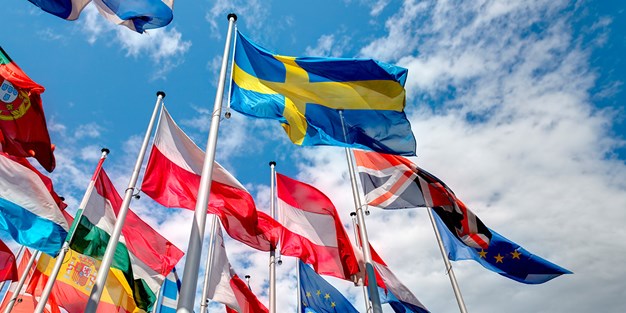 Flags of member states, photo.
